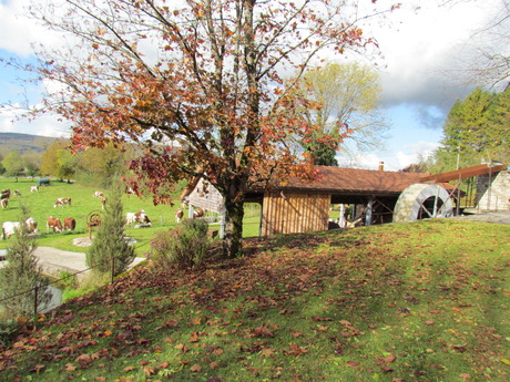 la roue, vue du dessus, en automne