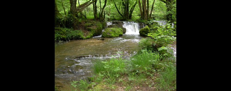les tuffes sur Baumes les Messieurs